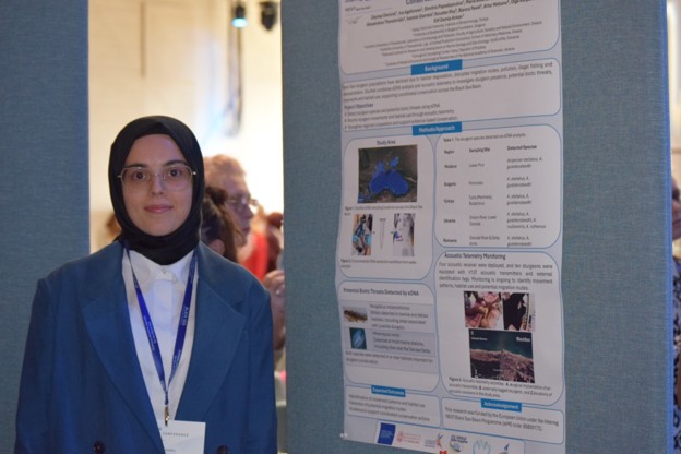 SturNet poster presentation at the Black Sea Stakeholder Conference